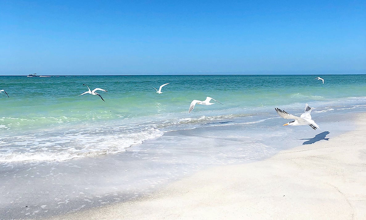 Why Choose Ormond Beach, Florida for Top Real Estate & FL Living